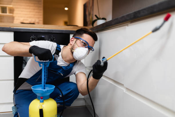 Pest Prevention Services in Staunton, IL