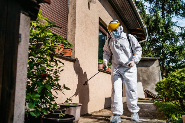 Best Pest Control for Businesses  in Staunton, IL