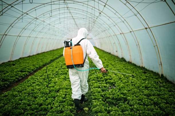Best Pest Prevention Services  in Staunton, IL
