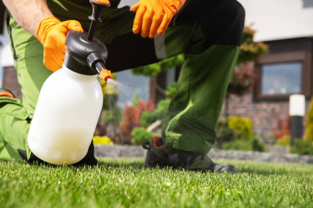 Pest Control for Restaurants in Staunton, IL