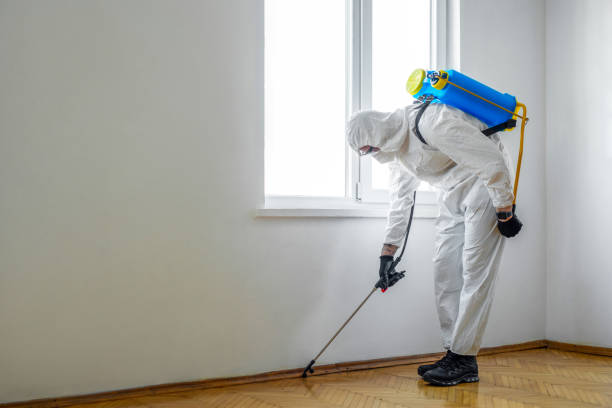 Best Pest Control Near Me in Staunton, IL