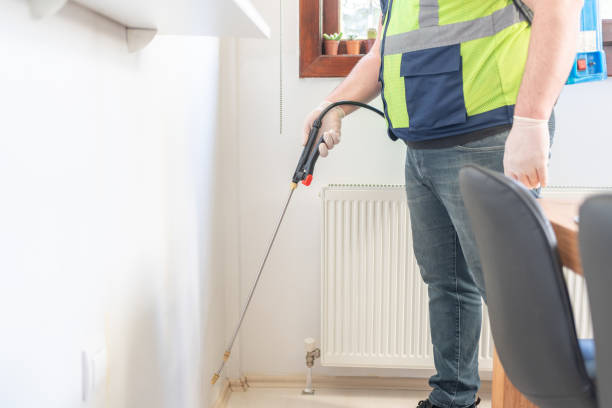 Best Best Pest Control Companies  in Staunton, IL