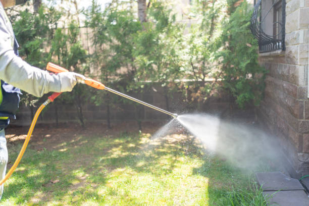 Spider Control Near Me in Staunton, IL