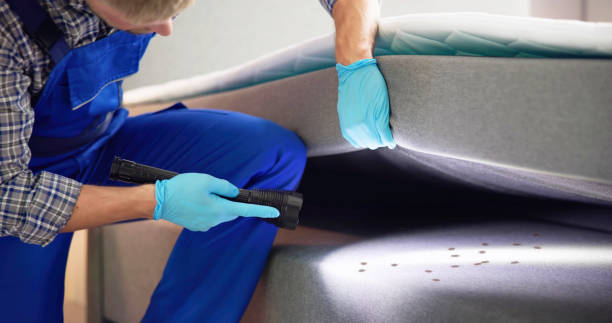 Best Commercial Pest Control Services  in Staunton, IL
